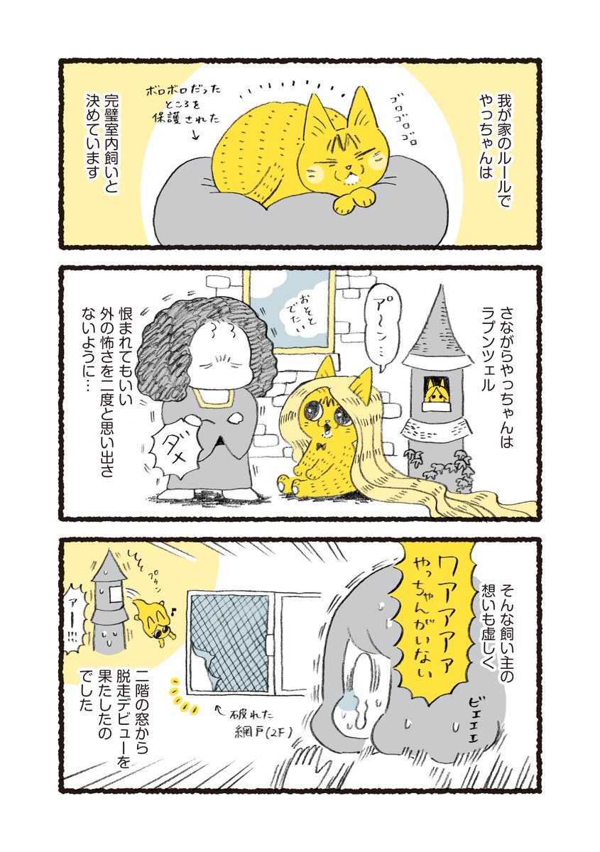 やっちゃんがよく脱走してた頃のお話 