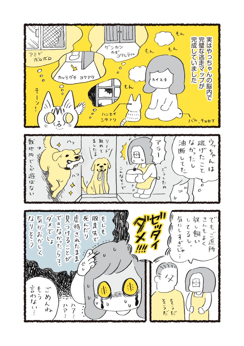 やっちゃんがよく脱走してた頃のお話 