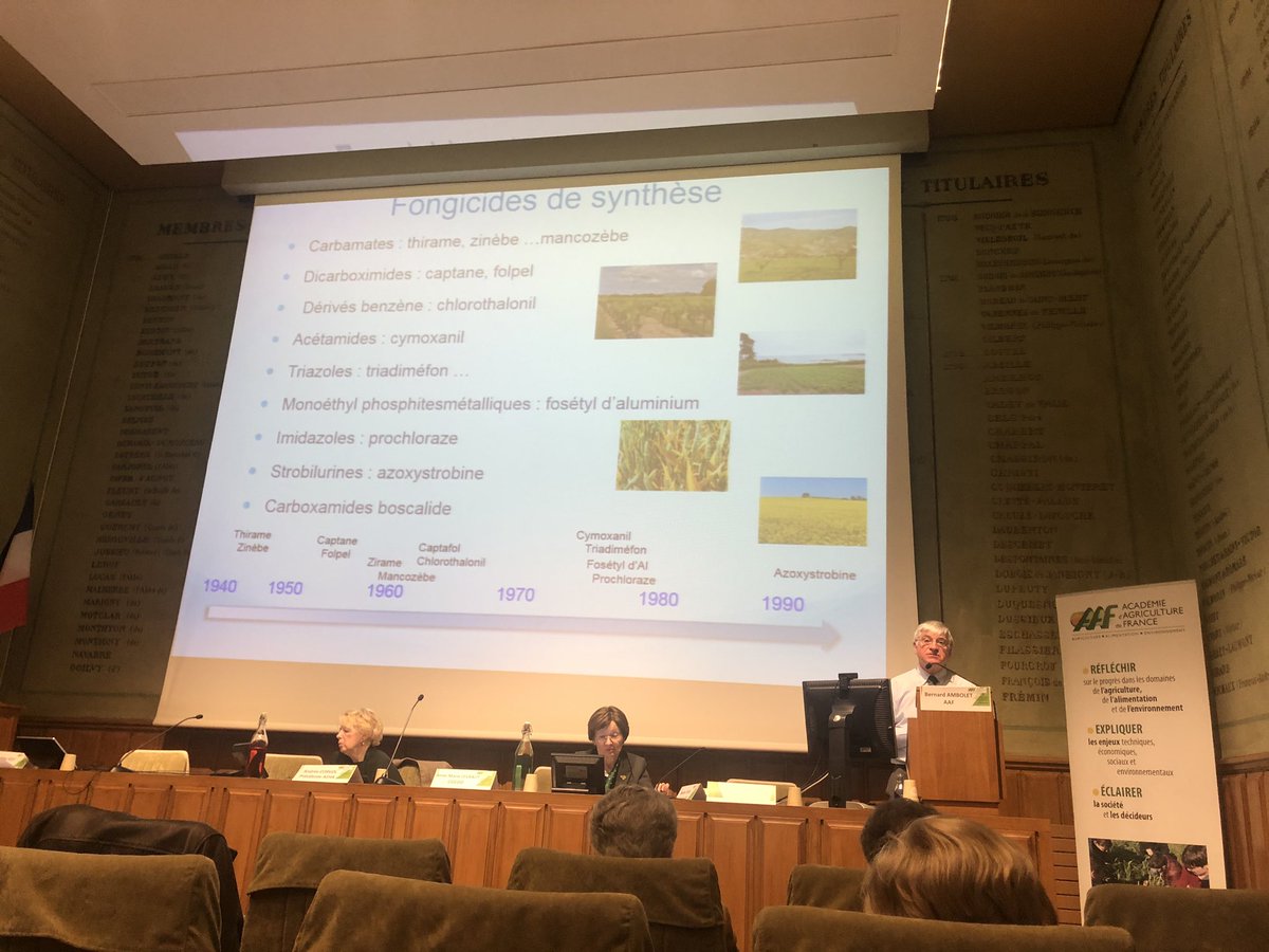 a_roux84's tweet photo. Colloque organisé par #AEHA dans les locaux de @AcademieAgri. Bernard AMBOLET présente l’évolution des #fongicides de synthèse qui ont permis de mieux lutter contre les #maladies au cours du temps.
#PlantHealth #SantédesVégétaux #IYPH2020 #onehealth #agriculture https://t.co/qqkEFDz6iN