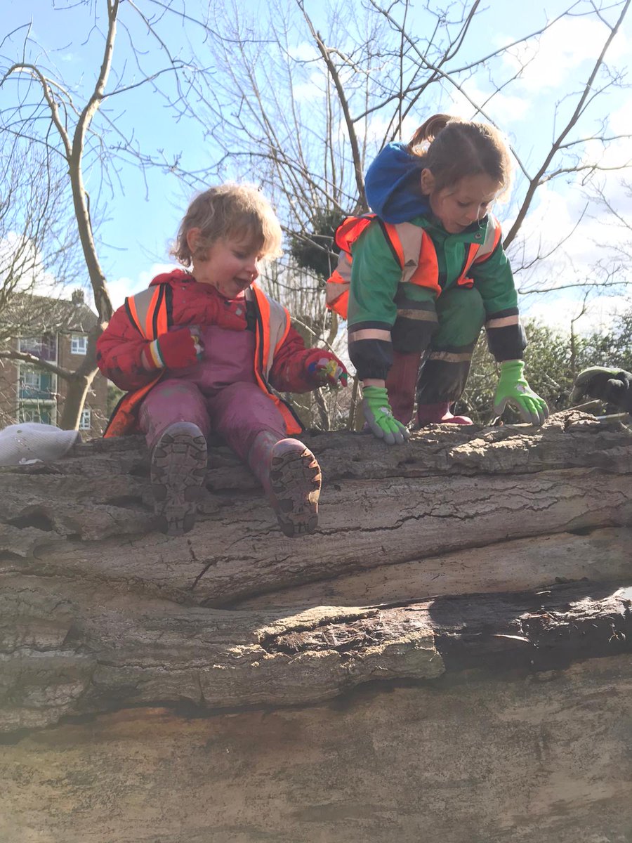 WildAboutPlay's tweet photo. Is there anything more fun than climbing trees and learning about other ecosystems with your friends? #outdoorplay #outdoorlearning #tuesdaymotivation https://t.co/bdKnucyz00