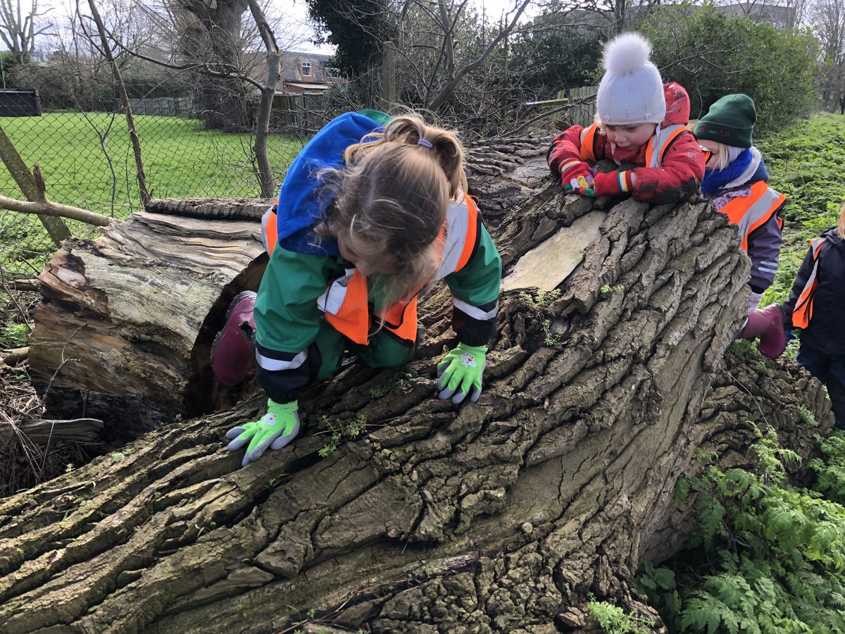 WildAboutPlay's tweet photo. Is there anything more fun than climbing trees and learning about other ecosystems with your friends? #outdoorplay #outdoorlearning #tuesdaymotivation https://t.co/bdKnucyz00