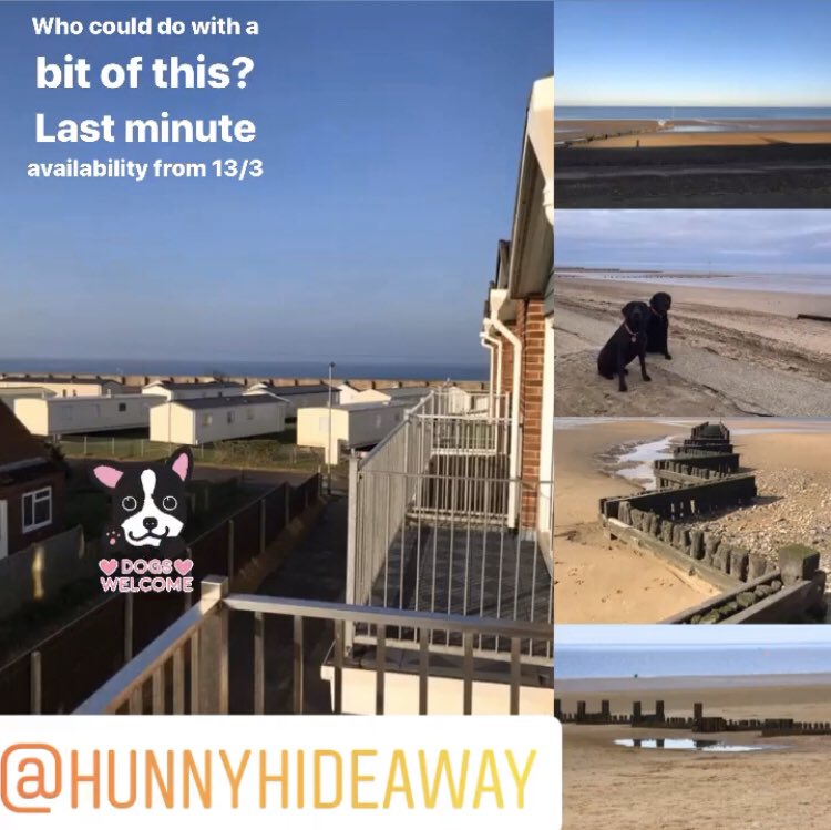 hunny hideaway (@hunnyhideaway) / Posts / X