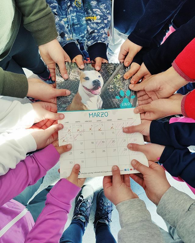 Hoy hemos recibido este precioso email desde un cole rural en la Sierra de Teruel, todo un subidon, gracias siempre:
.
.

Queridos amigos de Ladridos Vagabundos,

Os escribimos desde un cole rural en la Sierra de Teruel, en un pueblo llamado Gúdar. Estam… ift.tt/38zS7J3