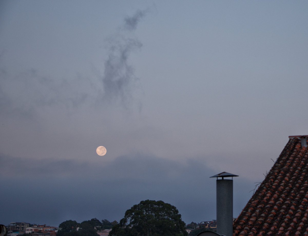 fernao_berthold's tweet photo. Porto Alegre: #superlua2020 pôr da Lua.
🌡️ 21°C https://t.co/hnbWRmaYUs