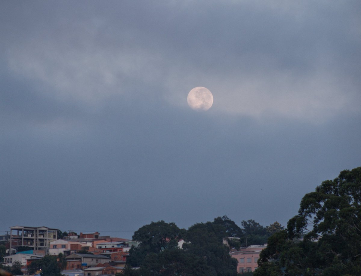 fernao_berthold's tweet photo. Porto Alegre: #superlua2020 pôr da Lua.
🌡️ 21°C https://t.co/hnbWRmaYUs