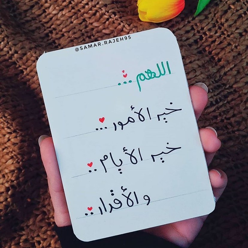 noosa2016's tweet photo. مساء الخير✨ https://t.co/Pm6If9RsCJ