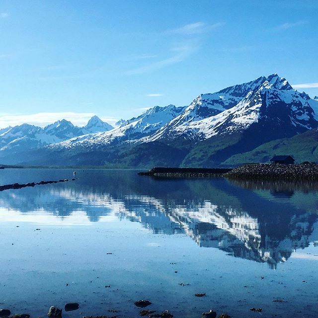 _walktheworld_'s tweet photo. Alaska, juin 2018 😍
.
#alaska #usa #unitedstates #america #grandsespaces #wideopenspaces #montagne #mountains #justforgettheworld #reflet #reflection #intothewild #nature #landscape #paysage #travel #voyage #travelgram #instatravel #explore #neversto… https://t.co/GPDmELiCz2 https://t.co/NUJTaqF7MG