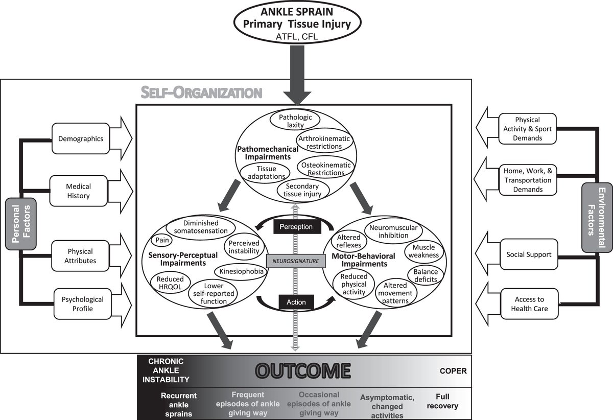 An updated model of Chronic Ankle Instability
Another pearl of <a href="/Jay_Hertel/">Jay Hertel</a> <a href="/JAT_NATA/">Journal of Athletic Training</a> 👏

Nice to see the evolution of the models over years!

🔗🔓 natajournals.org/doi/pdf/10.408…