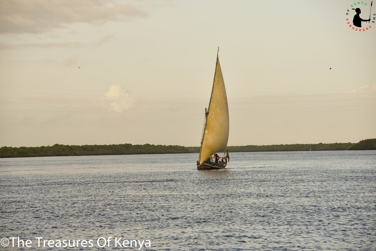 Treasures_Kenya's tweet photo. Island-hopping with the trade winds behind the sails on a dhow is indeed an awesome way to really experience the Lamu archipelagoπβ΅οΈ
#ThisIsMyKenya #DiscoverLamu #MagicalKenya #TreasureKenya #TembeaKenya #DhowSailing https://t.co/8VHZ9zRRs5