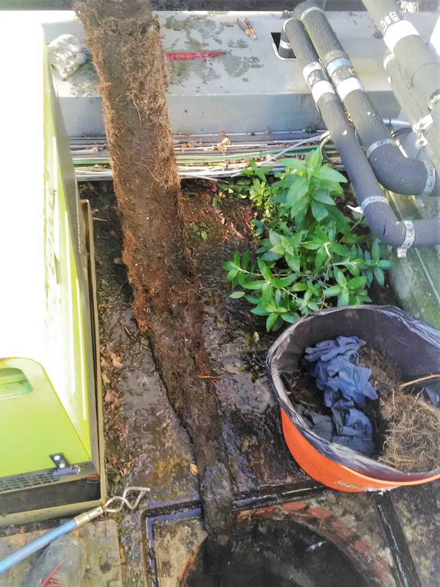 MetroRodHLP's tweet photo. What film is it where she starts pulling hair from the drain and it just gets worse and worse??? 
It was a similar scene when our engineers were removing these roots from a stack..
You sure it's just a small blockage?  find out more: https://t.co/Al7R6MDYKj https://t.co/PP9LaUdFzw