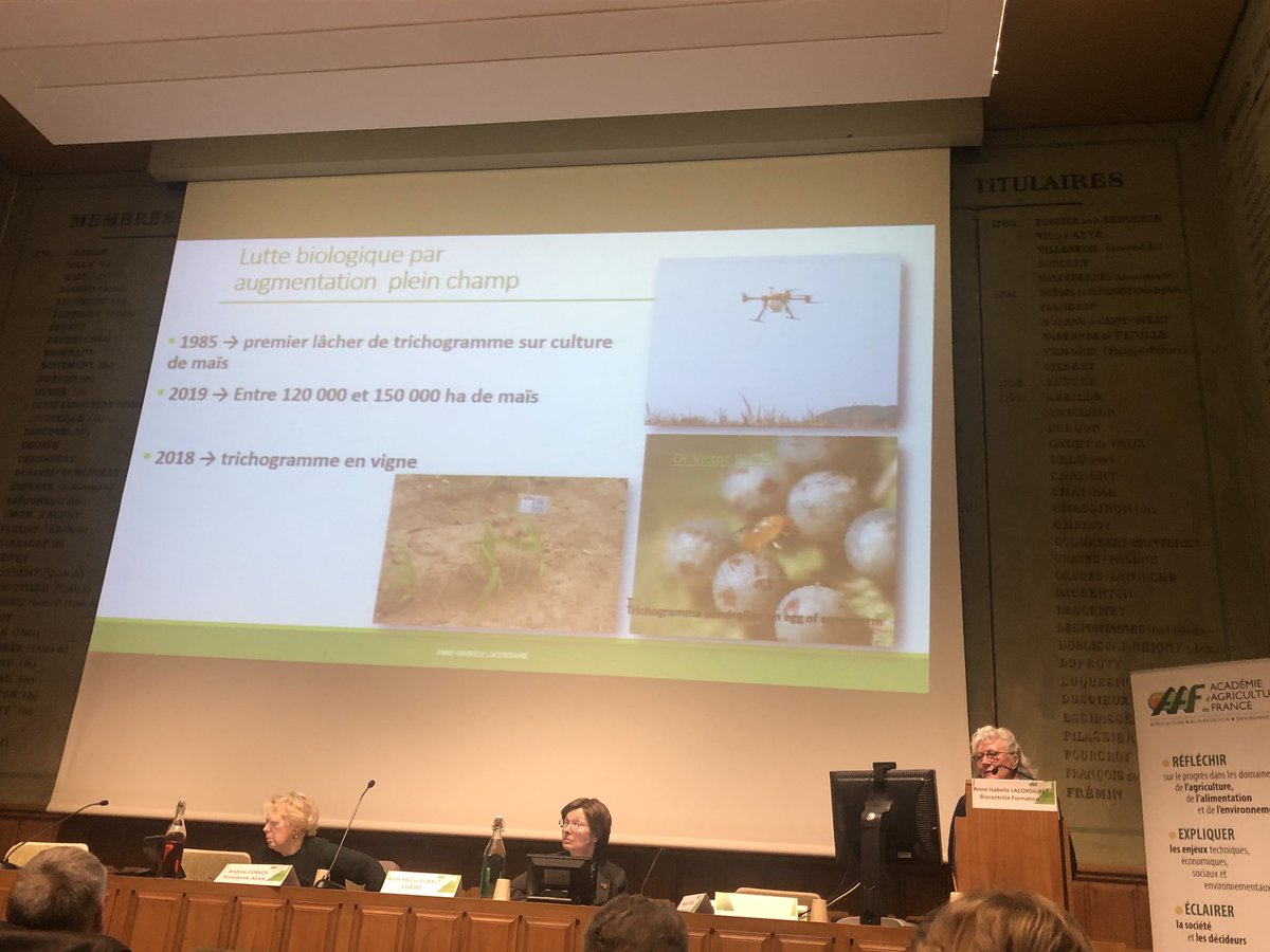 a_roux84's tweet photo. Colloque organisé par #AEHA dans les locaux de @AcademieAgri. ➡️3 types de #lutte #biologique par Anne-Isabelle Lacordaire @LacordaireF : lutte de conservation, lutte par acclimatation et lutte par augmentation.
#SantédesVégétaux #IYPH2020 #onehealth #agriculture #ibma https://t.co/dj5u8SIo67