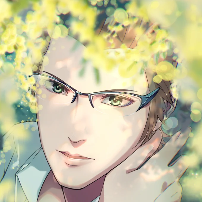 Mimosa 