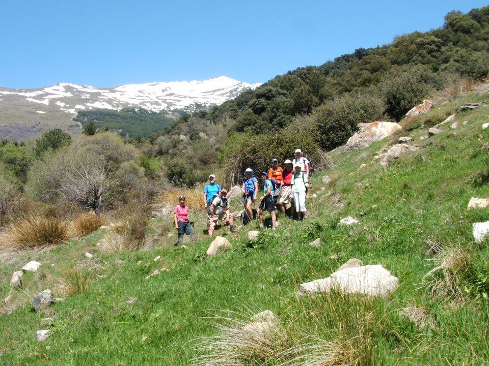 MtnHols's tweet photo. April is a lovely time to walk in the Alpujarra; we would love to show you around. We have availability 23rd - 30th on our Alpujarra in the Spring walking holiday.
https://t.co/6ev9f9w0xJ
#walks #walkingholiday #hikingholiday #Andalucía #Alpujarra https://t.co/tgqJVCileL