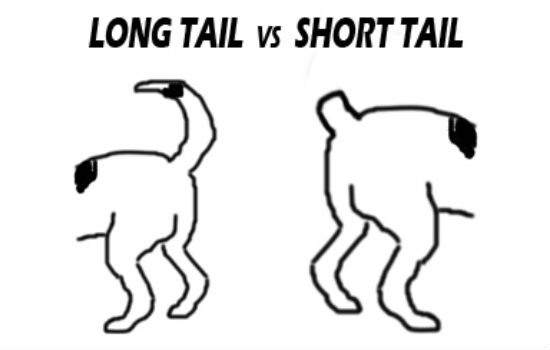 Tail word. Tail words. Writing sentences and dialogues. Tail words. Tail words.