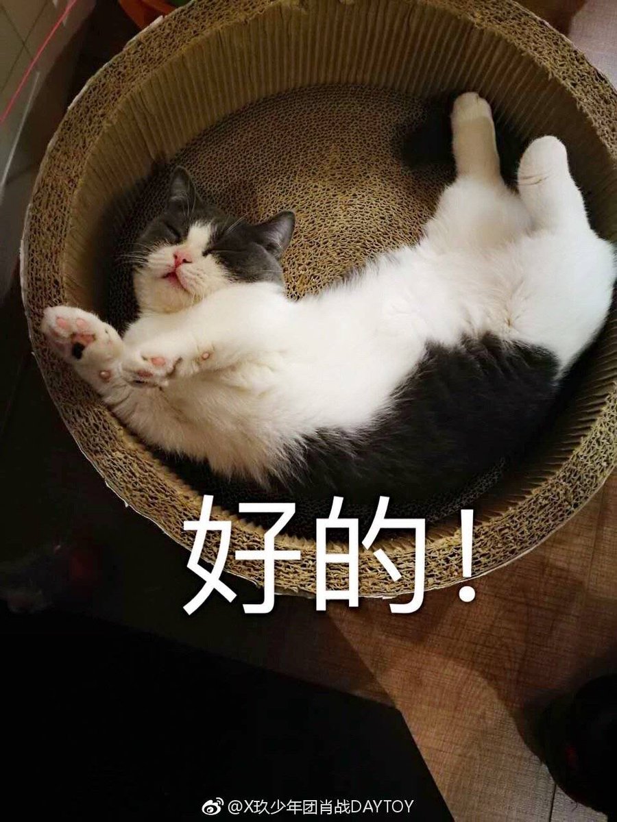 견과야 네 주인도 보고싶다