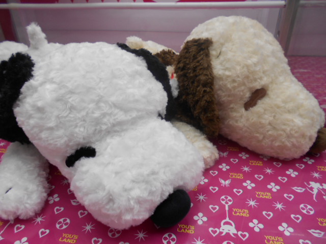 ユーズランド高岡店 V Twitter プライズ情報 大人気のスヌーピーより 寝そべりbigぬいぐるみ が入荷しました ブラウンとホワイトの全2種です クッタリして 大きさもなかなかのbigサイズ スヌーピーファンは是非getしてね 皆様のご来店 お待ちしております