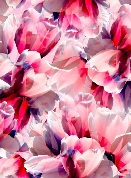 Textile_Forum's tweet image. The wonderful Carrington Fabrics / John Kaldor Fabrics are back this week at Textile Forum.  Leading supplier of dress fabrics and trimmings, they specialise in bridal, occasion and corporate wear fabrics as well as seasonal prints for all occasions! 

#textileforum #textileshow