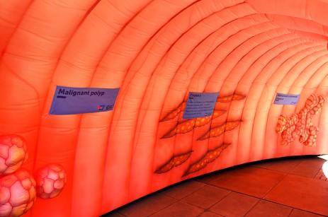 bcm_bewell's tweet photo. Participants who attend the wellness fair are encouraged to post a picture with the inflatable colon, brain, breast, heart or heart+lungs today before 2 p.m. for a chance to win a bag of BCM goodies! It's Colon Cancer Awareness Month, so be sure to use #BLUEforCRC https://t.co/0M0qmmlSy1