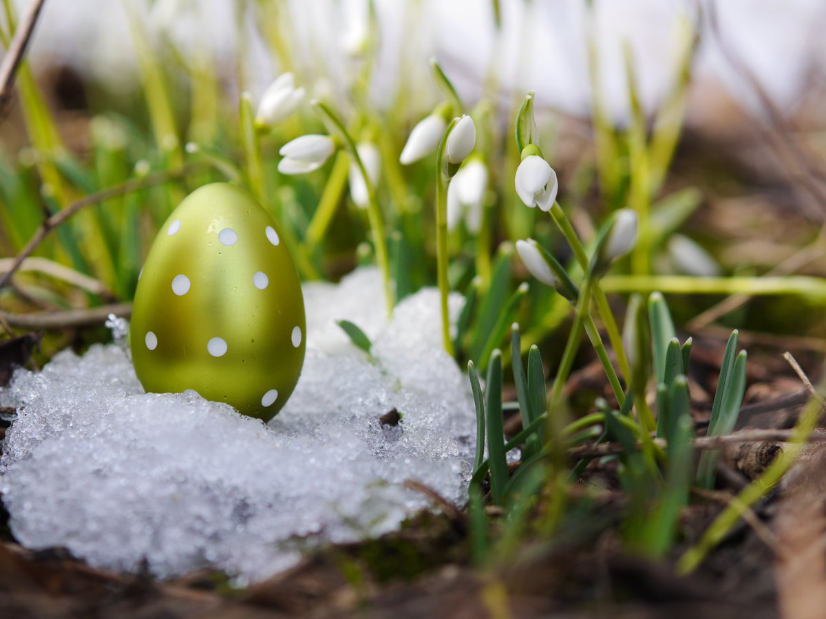 Easter in the small mountain village “Andermatt” is truly one of its kind! Enjoy a delightful weekend in the heart of the Swiss Alps with your loved ones and book your Easter holidays now 🇨🇭🏔🐣🌷

thechediandermatt.com/en/Offers-Acti…