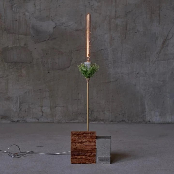 _Beoneofakind_'s tweet photo. Lampe Schmetterlings-Orchidee
Das warme #Licht einer Edison Glühbirne, zusammen mit der magischen und rauen Textur des #Holzes, passen in ein #nachhaltiges und lakonisches #Interieur und sorgen für einen warmen Akzent.
#upcycle  #homedesign #einrichtung #wohntrends #styleathome https://t.co/k5iPi3KtR7