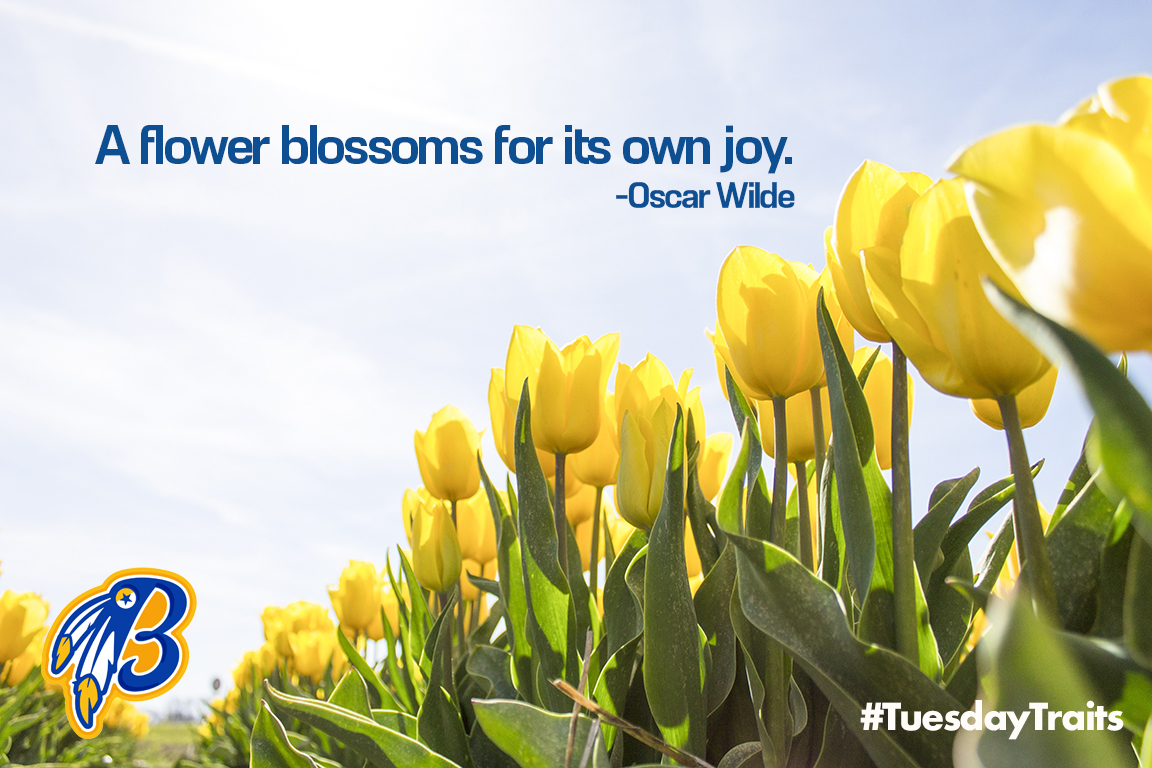 communityisd's tweet photo. #beWise #KnowyourJob #bePassionate #FindYourJoy 
#beABrave🌼
#TuesdayTraits🏹 https://t.co/nMLX9F6EmM