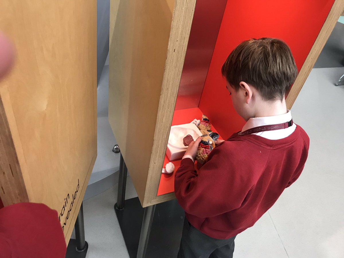 WellfieldMiddle's tweet photo. 7A enjoying and investigating the #BrainZone @CentreOfLife #WMSScience https://t.co/L7rmSujRot