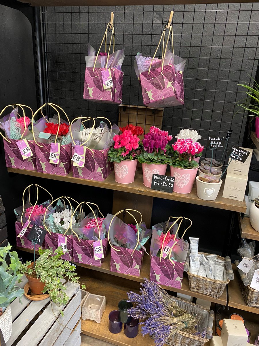 RodgersFlorist's tweet photo. Spoil your Mum this #MothersDay with our lovely selection of #spring plants, as well as plant pots &amp; gift bags which are the perfect complement. Why not add some of our Plum &amp; Ashby hand-cream or aromatherapy candles for that perfect gift, available in our #Chorlton shop 😊 https://t.co/y29wywlAnu