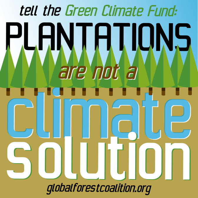 GFC_forests's tweet photo. There is plenty of evidence of negative impacts due to commercial tree plantations in areas that the #ArbaroFund is targeting. If approved, @theGCF will waste USD25 million to support the expansion of #GreenDeserts with no mitigation and adaptation benefits #No2FalseSolutions https://t.co/sMdiVf1xYq