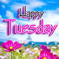 Eyears's tweet photo. Start the day with a positive mind and soul #Be happy https://t.co/8PruZ1Rsfu