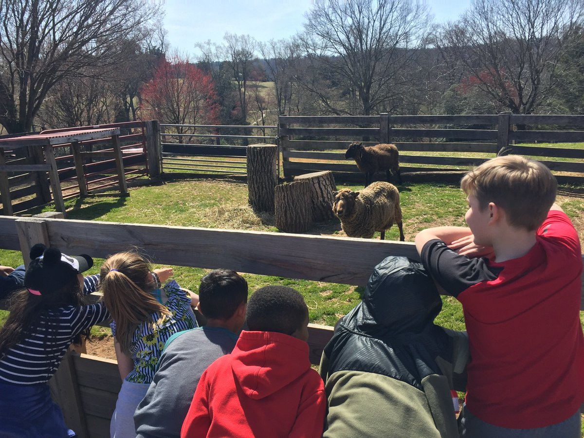 Price_3rdGrade's tweet image. Thank you @Maymont for the amazing field trip 🌞🐑🌳We had a blast exploring the grounds, meeting the animals, having a picnic lunch &amp;amp; learning about animal adaptations! #DedicatedDavisDragons #OneCCPS #FieldTrip