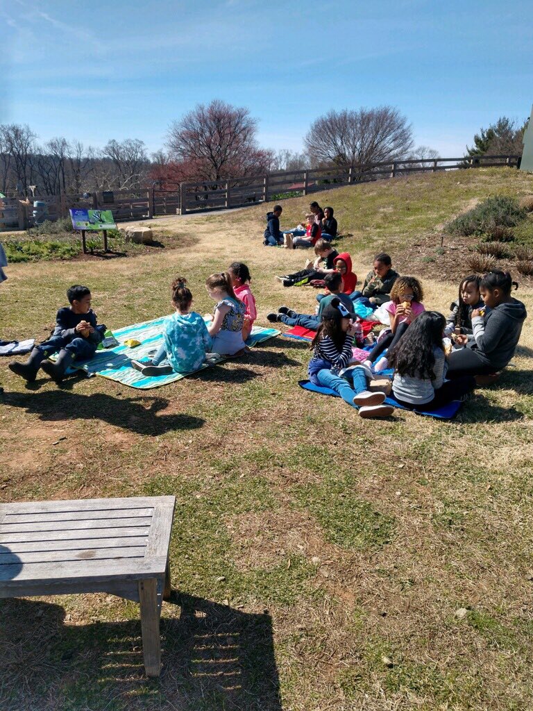Price_3rdGrade's tweet image. Thank you @Maymont for the amazing field trip 🌞🐑🌳We had a blast exploring the grounds, meeting the animals, having a picnic lunch &amp;amp; learning about animal adaptations! #DedicatedDavisDragons #OneCCPS #FieldTrip