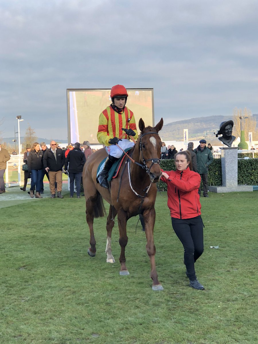 So the day is finally here. Thankfully not the wettest winter ever or Coronavirus have stopped the greatest show on turf <a href="/CheltenhamRaces/">CheltenhamRacecourse</a> We have #jarveysplate in the 4.40. It would be lovely if he had a good run ahead of his birthday tomorrow. <a href="/PaddyBrennan81/">Paddy Brennan</a> rides.