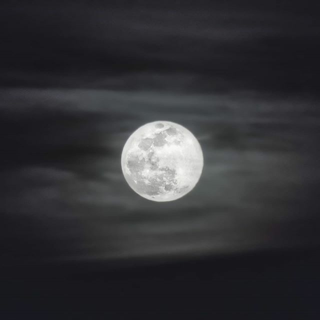jose_mmj's tweet photo. Sony a6400 + laea4 + Tamron SP 70 - 300.

#sonya6400 #tamron70300
#landscapephotography #longexposure #urbanphotography #nightphotography #torrejondeardoz #madrid #españa #spain #moon #moonphoto #wormmoon https://t.co/uaCFSIIfAY https://t.co/UD3LrJWuDW