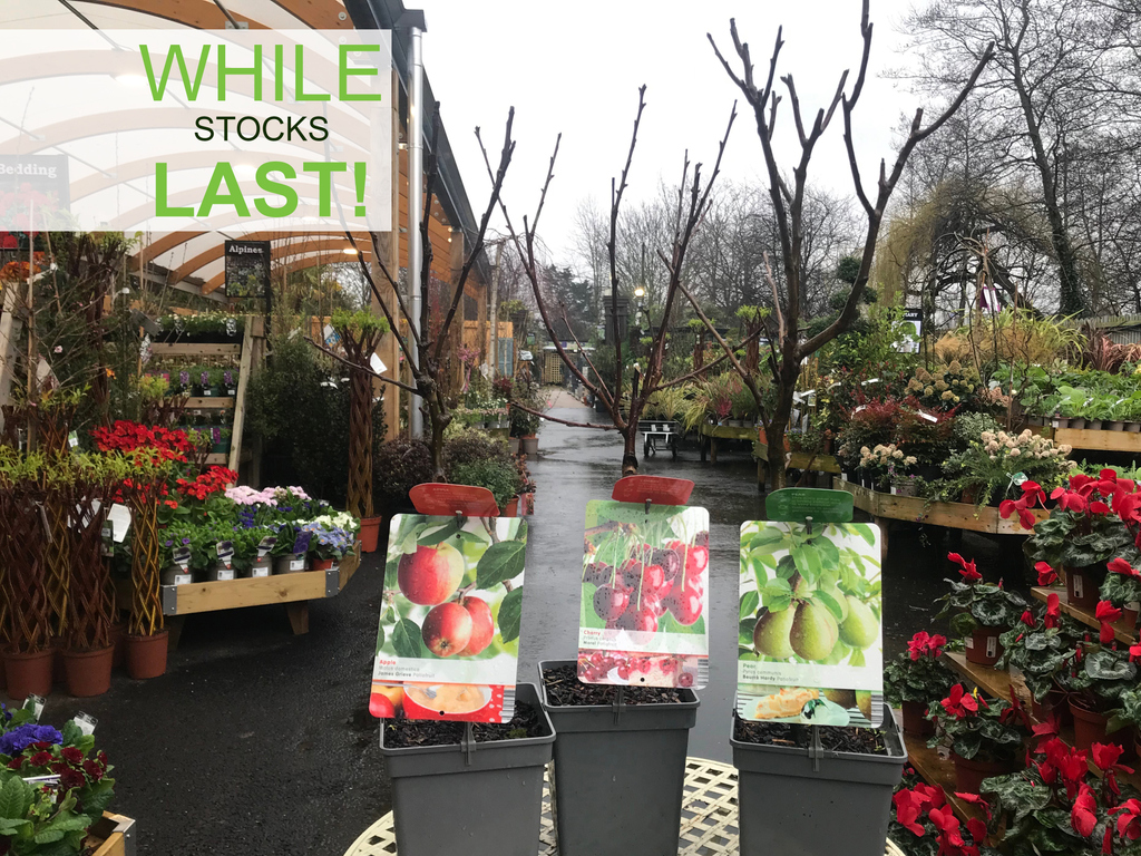 Camden Garden Centre Camdengardencen Twitter