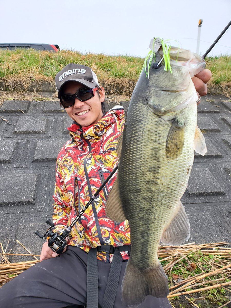 スティーズカバーチャター