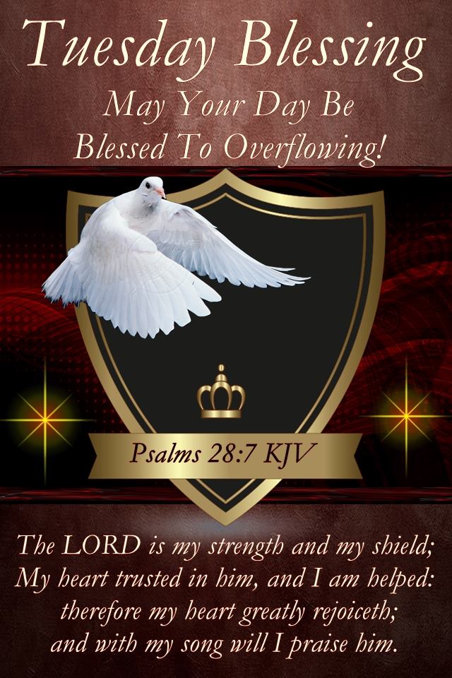 Good Morning Tuesday Prayers And Blessings His Cornerstone, Llc Ar Twitter: "Good Morning, Happy Tuesday, I Pray That  You Have A Safe, Happy And Blessed Day Today!! Https://T.co/Xjpaqktl7R" /  Twitter