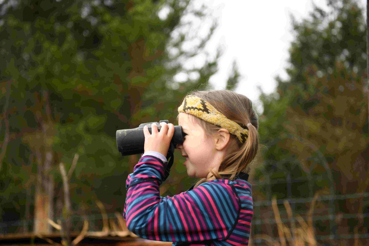 KnoxvilleTenn's tweet photo. Knox Forest School keeps kids exploring the outdoors https://t.co/WedIDM2TBI https://t.co/zNaIN6z40B