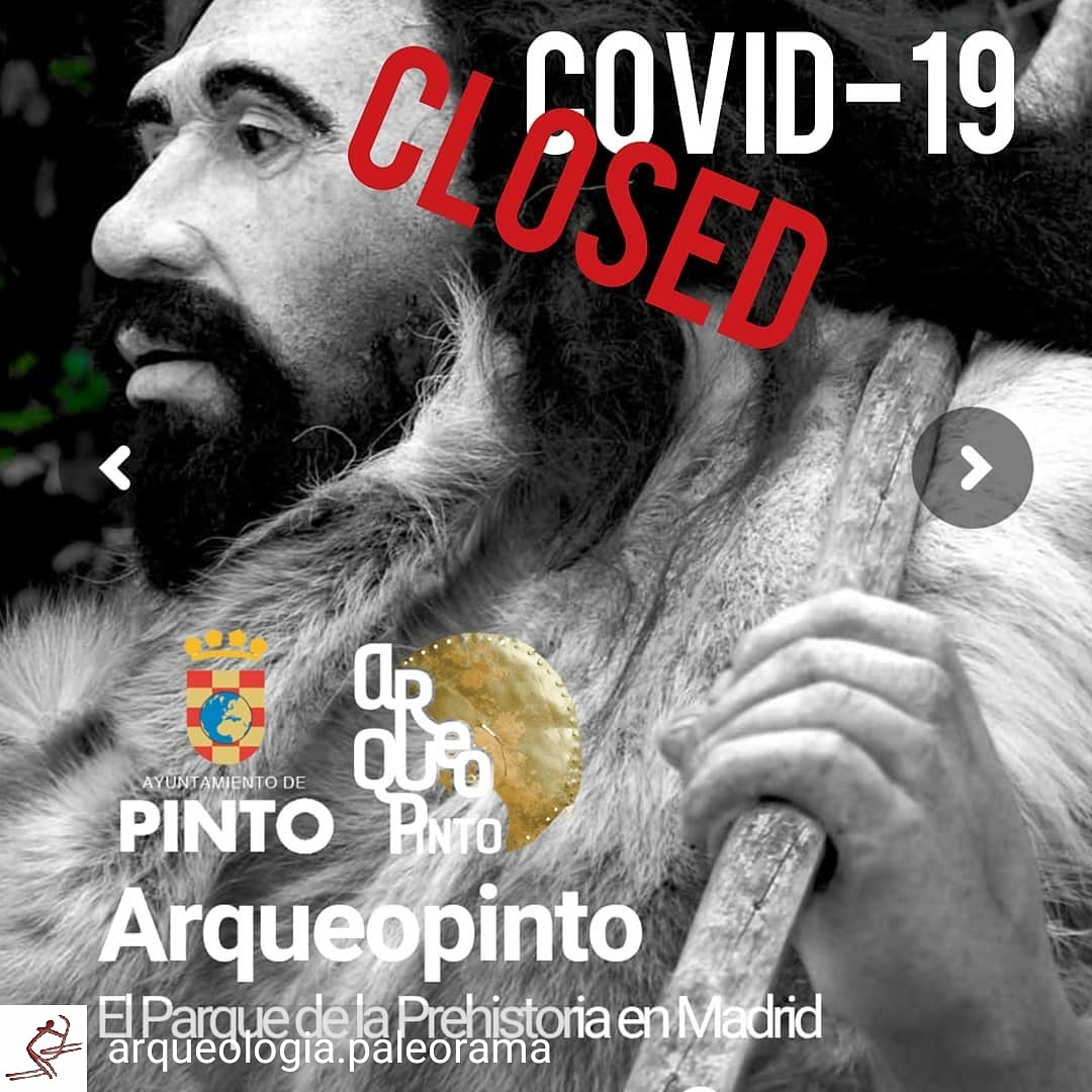 Arqueopinto tweet media