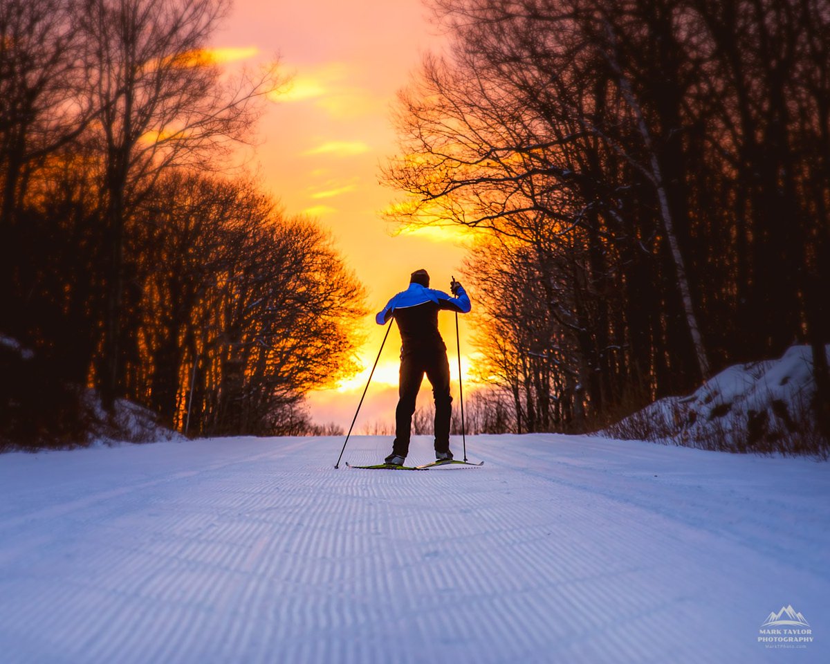 Mark Taylor tweet media