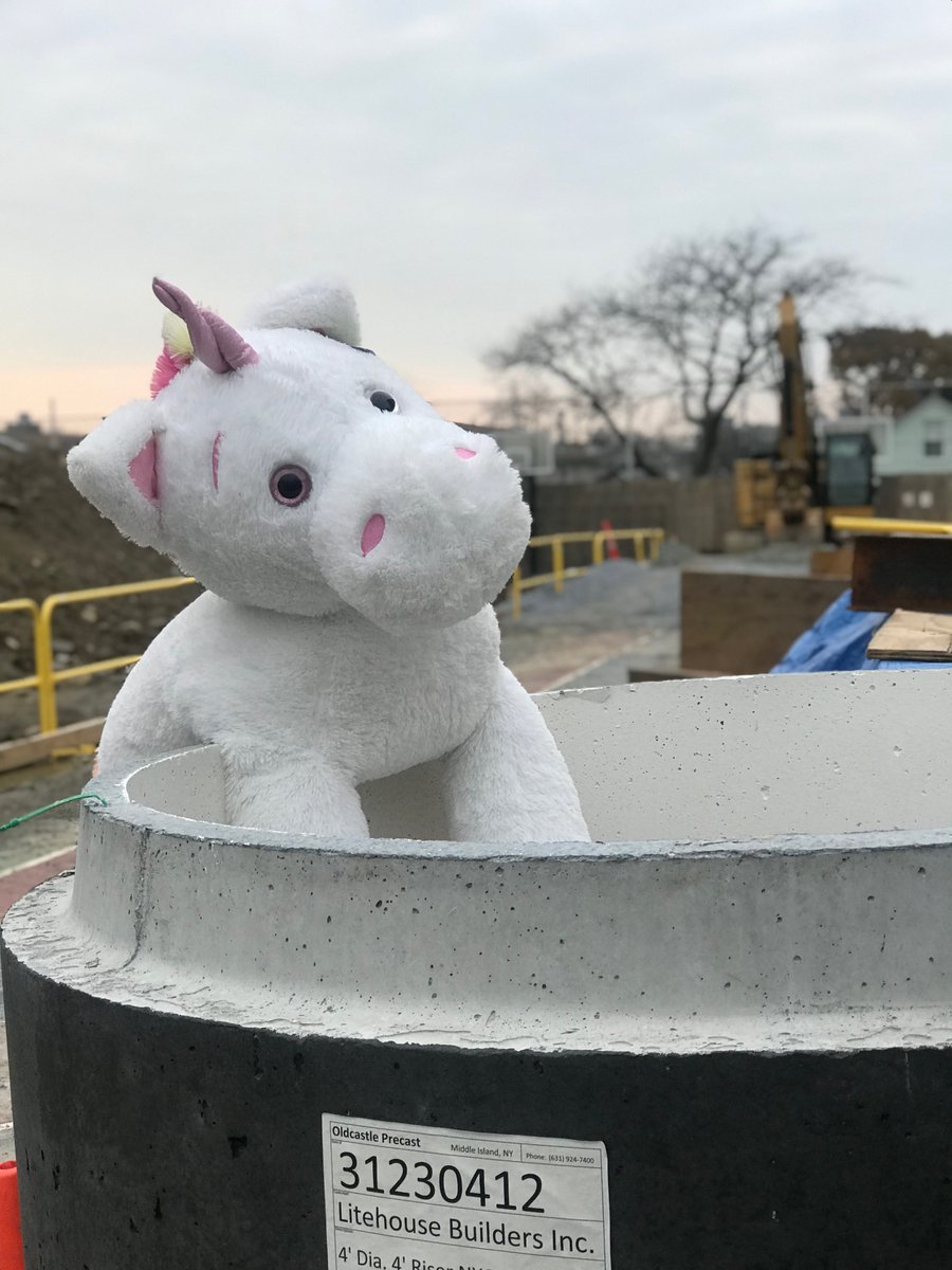 LitehouseBuild's tweet photo. Do not go chasing unicorns! Instead, employ them as Construction Managers. In the picture “Sparkly” is helping PM Melissa Mohammed with the detention tank layout 🦄 https://t.co/ToVglp17kX