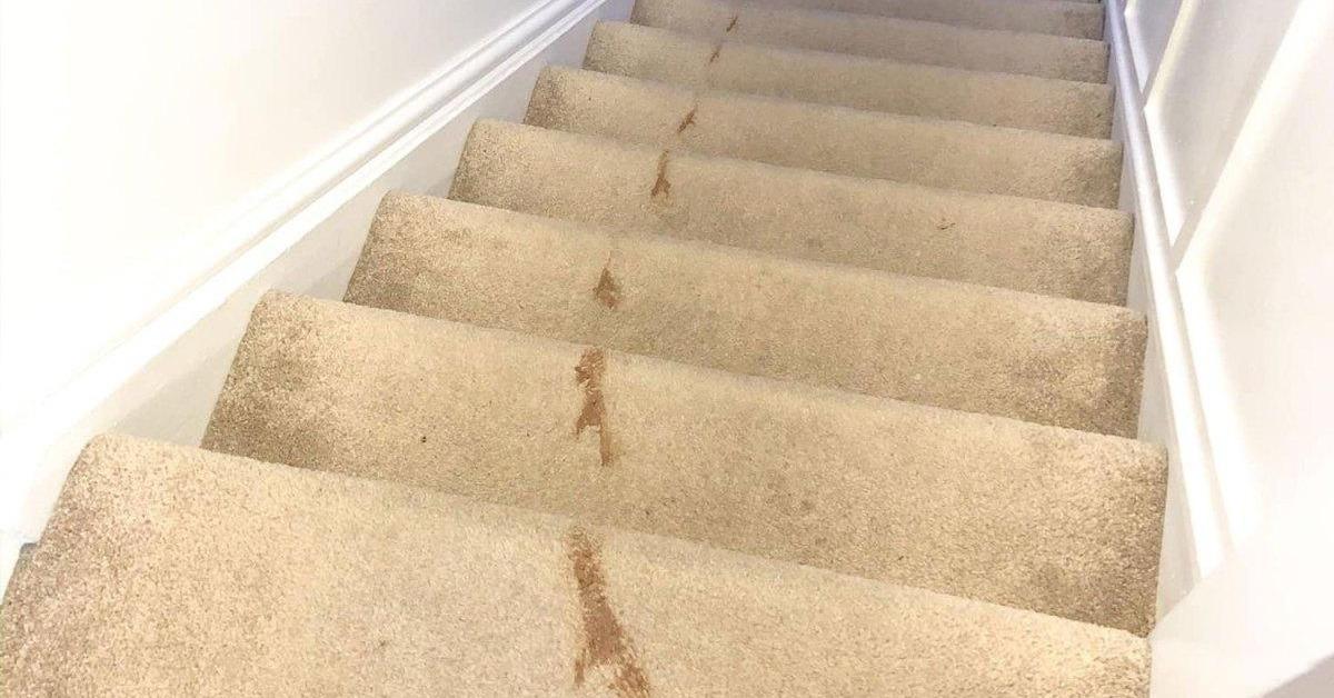 The Scottish Sun tweet media