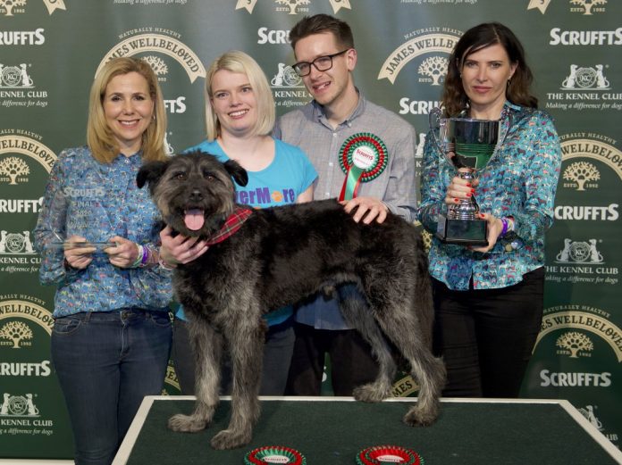 Dogs_Today's tweet photo. Meet Clooney the Romanian #rescue - Most Handsome Crossbreed #Dog and winner of #Scruffts: https://t.co/v5navcvBNt https://t.co/4jtj5eDcmX