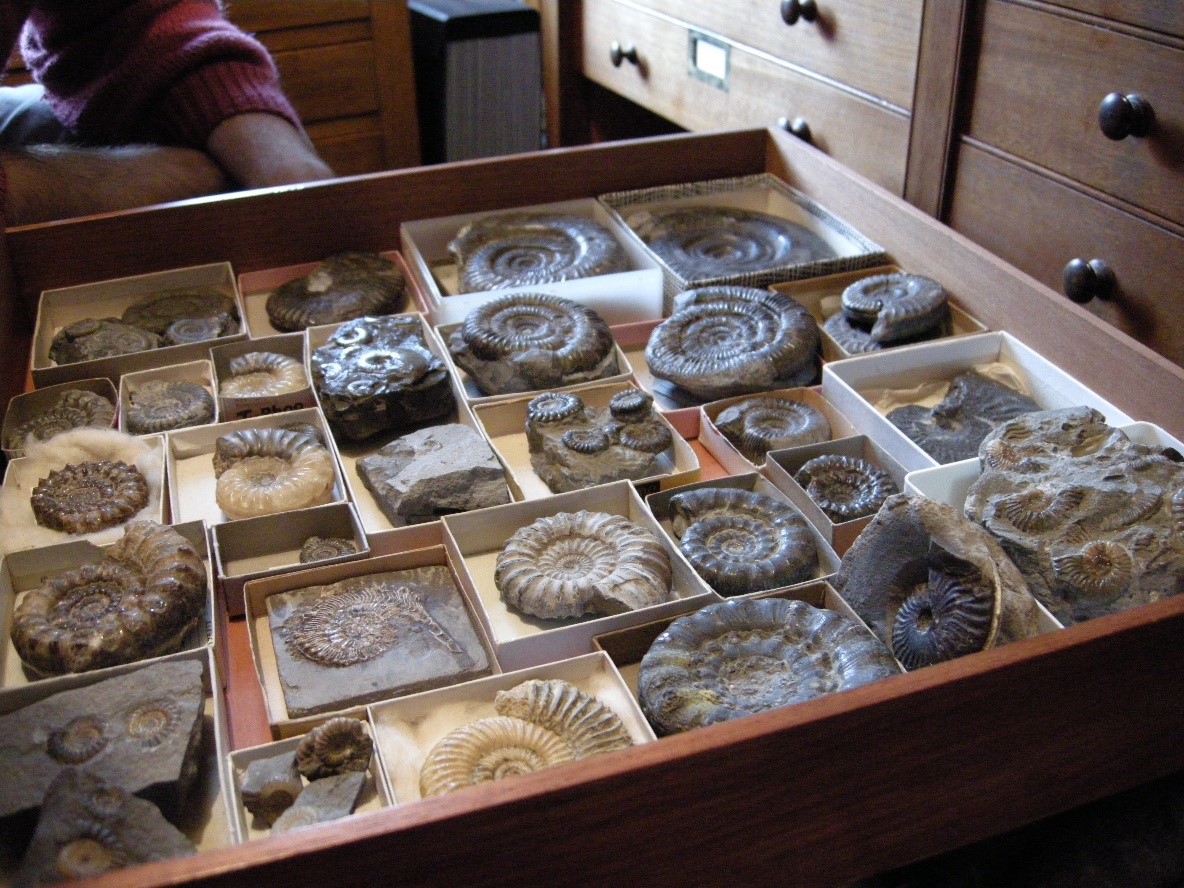 OriginalGCG's tweet photo. "Accessing Staffordshire Geology" project receives @ace_national funding- whoop! https://t.co/YDysnDDkYj

#geoscience #geology @PotteriesMuseum written by @batdrawer1 

© The Potteries Museum &amp; Art Gallery https://t.co/899WkwwxhN