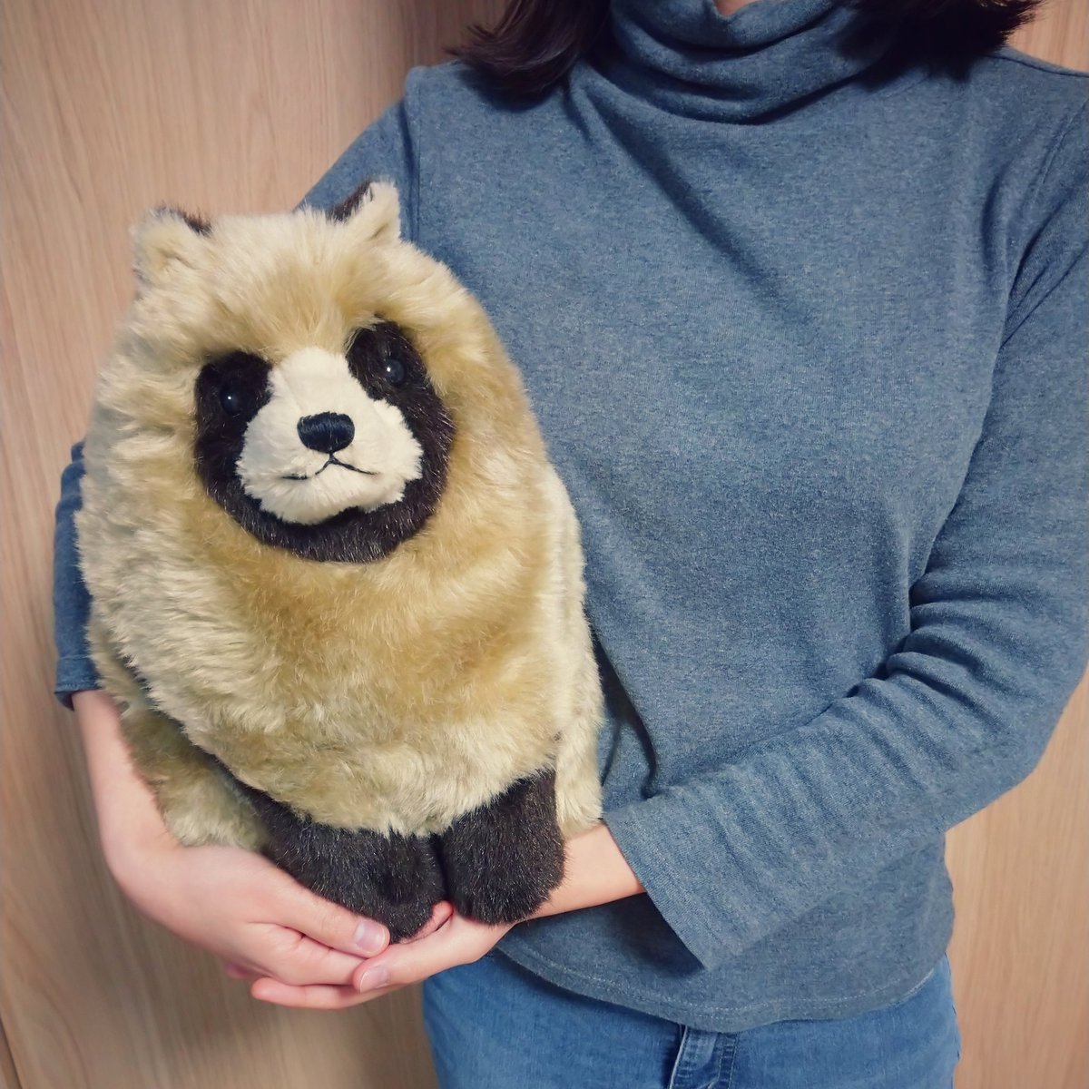 たぬき抱えてみた #banmof #ぬいぐるみ #たぬき #タヌキ #えぞたぬき