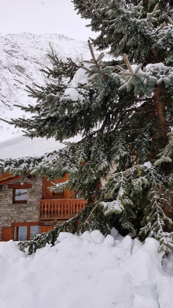 Sous les flocons de neige ❄❄
#picoftheday #savoiemontblanc