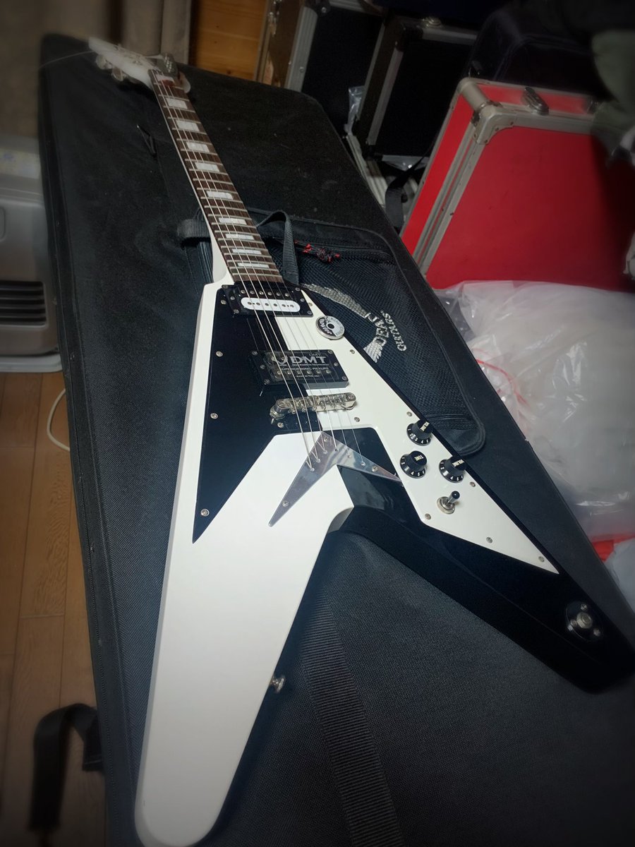 勿論、今週はこいつをケースから出してます。