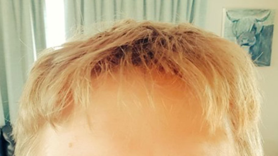 Dócs Dávid tweet media