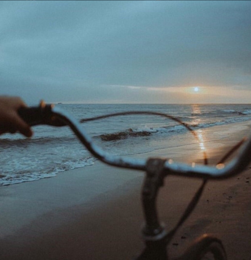 HopOn - Mobile Ticketing Solution tweet media