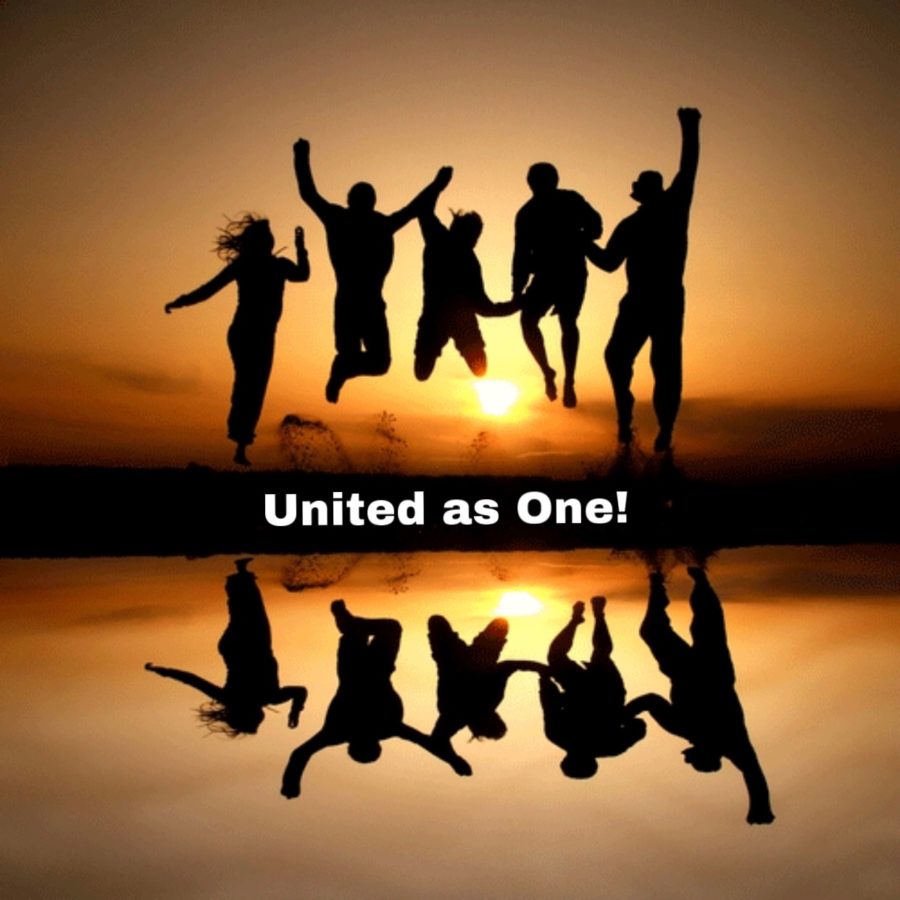 dachshundlady11's tweet photo. @sdr_medco @contrary1965 @zelda229 @BCOOL333 @AtlantisSeahor5 @uflo5 @BrendaBalazs @4a_of @SadieTNResist @kodiak149 @ConnieG1025 @KLGLASS2 @Stop_Trump20 @OReasonStands @Missin_Florida @KenobiCheated Following all that I wasn't already. Please follow back. #StrongerTogether #Resist #YourVoteCounts #VoteBlueNoMatterWho #BlueWave2020 #StopTheInsanity #StandUpForDemocracy #RestoreHonorToUSA #CleanseOfficeofPOTUS #RestoreHonorToCongress #RememberInNovember https://t.co/taMPGFfkLs