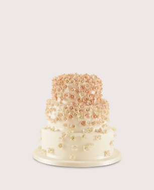 Fiona Cairns has been designing, baking and decorating exceptional cakes for over 30 years. 
An incredible women with enviable talent for creating exquisite cakes. 

📸 The first fruit cake made in 1985, cooked in baked bean cans!
📸 "Abundance" wedding cake design 💕

#iwd2020